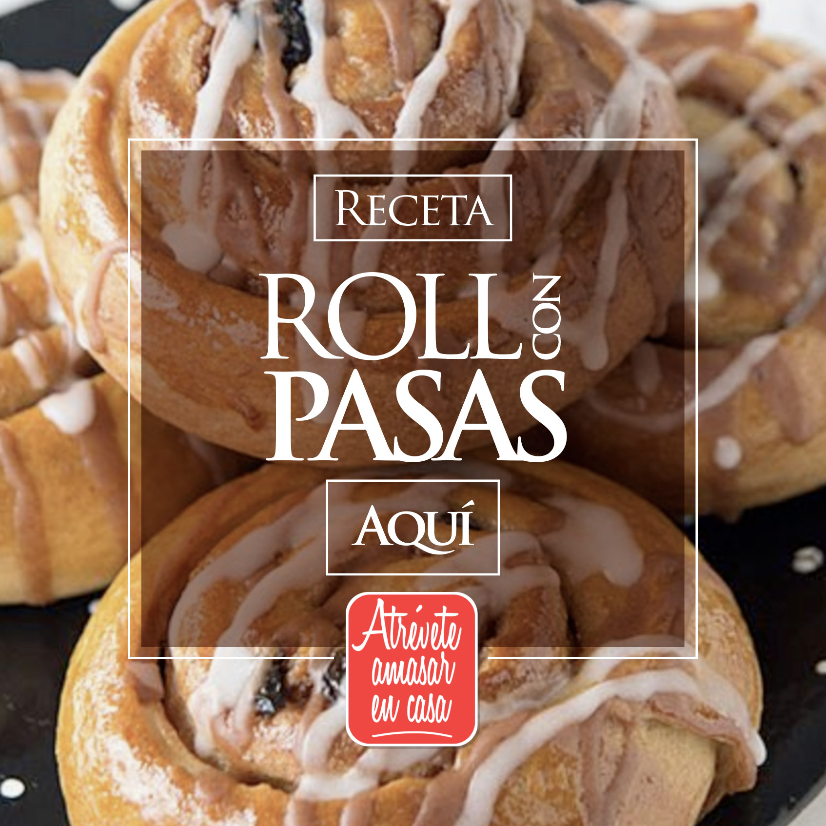 Kittyland.ws  teen porn forum